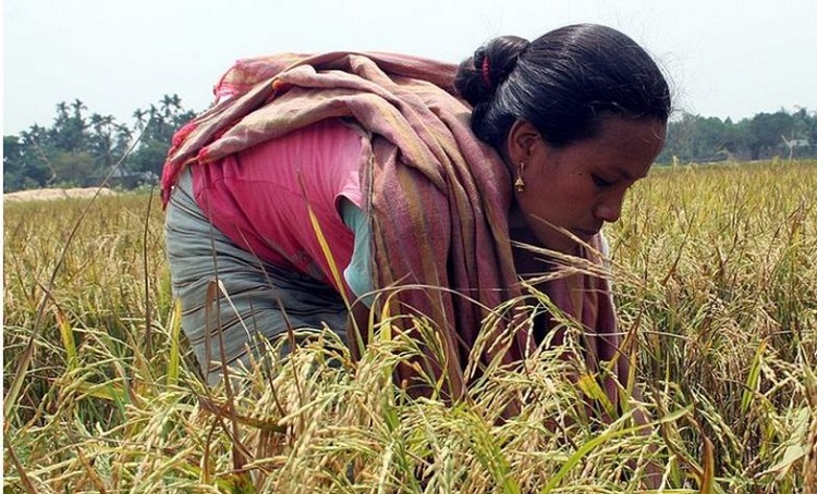 ভয়াবহ শ্রমিক সঙ্কট