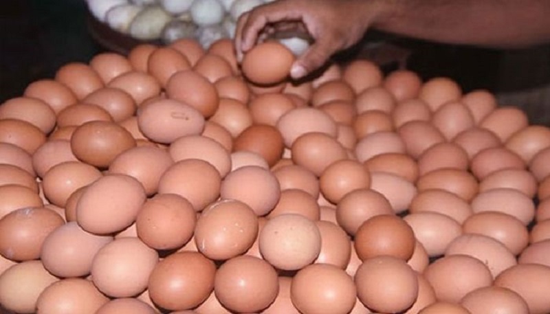 ডিমে ফিরেছে স্বস্তি, ডজনে কমলো ৩৫ টাকা